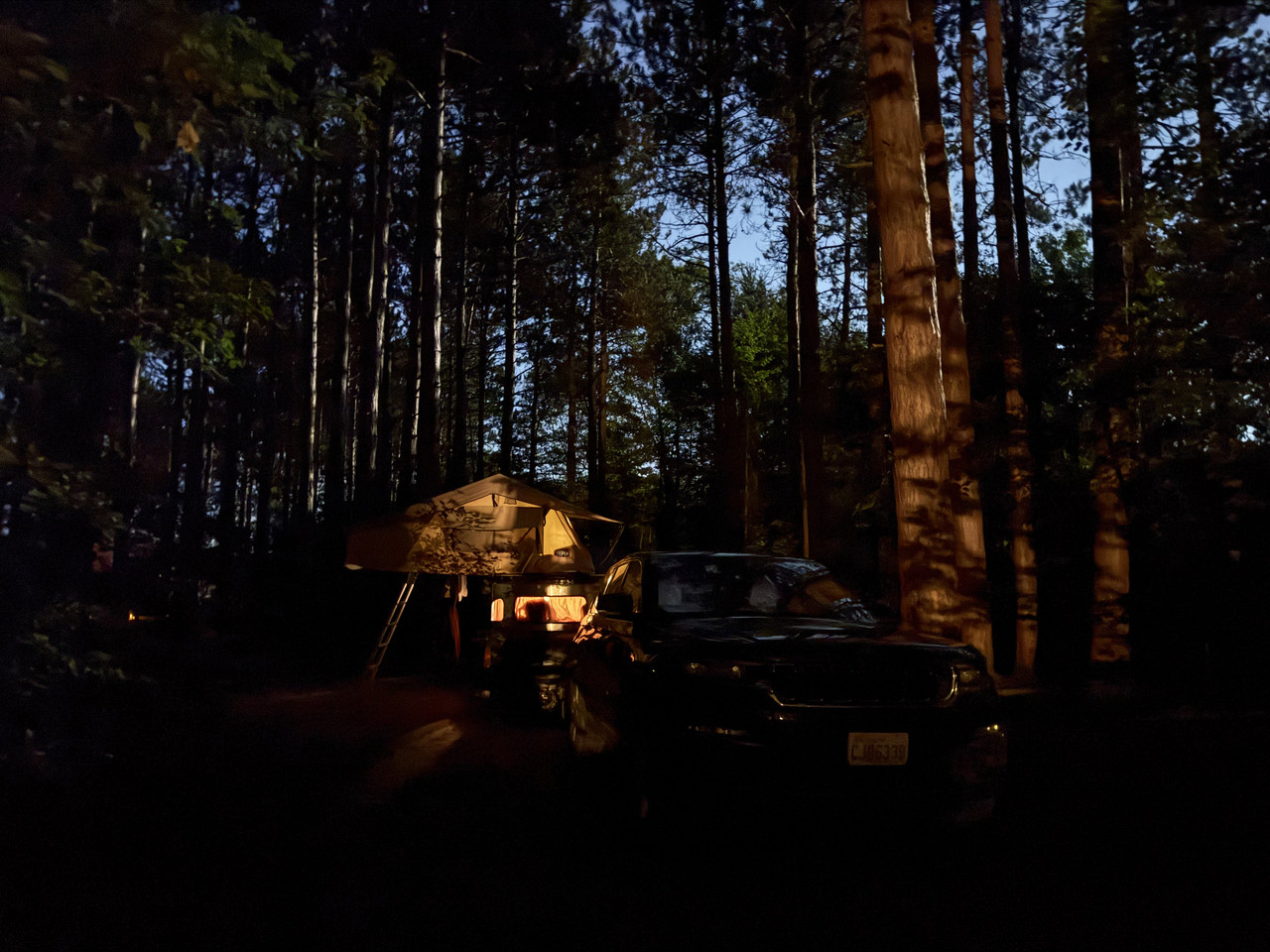 IMG-7875.jpg