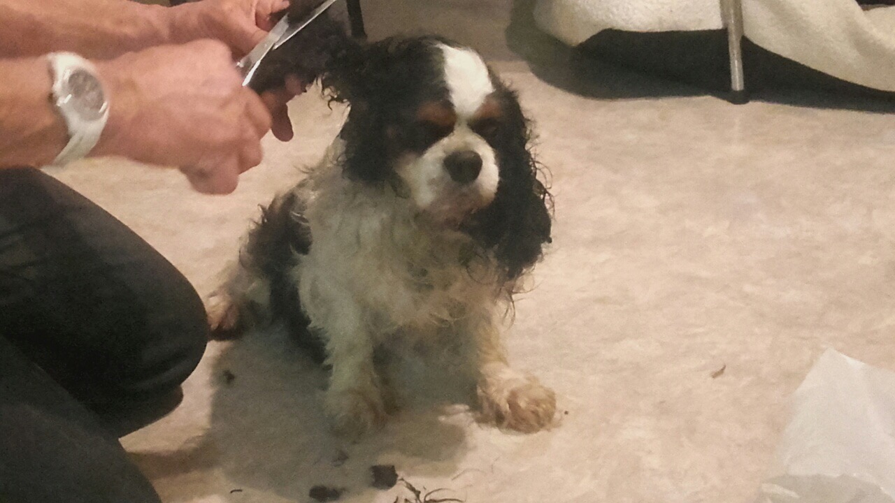 EC483116-DEEA-43A3-8A7C-A170C8626FC5