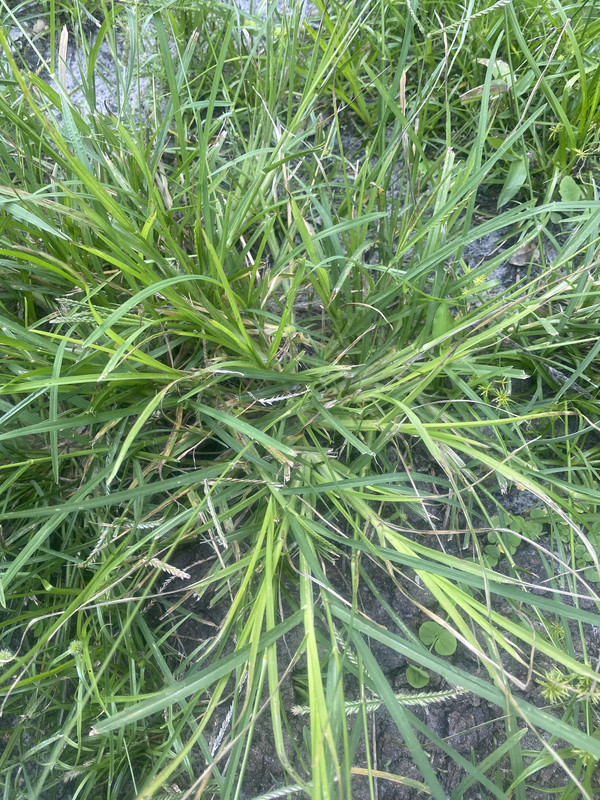 9677C634-41AD-477F-9108-2E5C90CFD35D