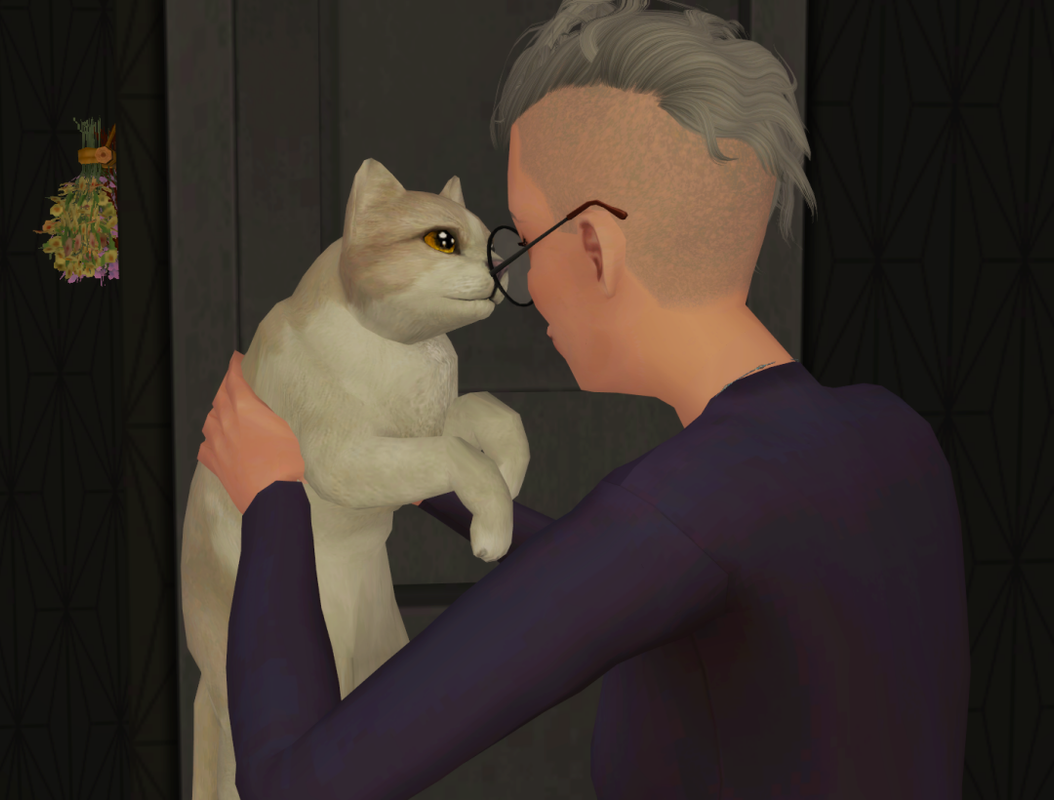 Sims2-EP9-RPC-2022-10-25-22-35-58-76