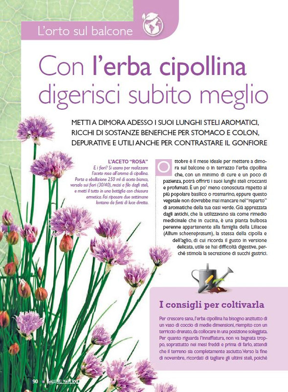 Sal Nat Ott 2021 (11)