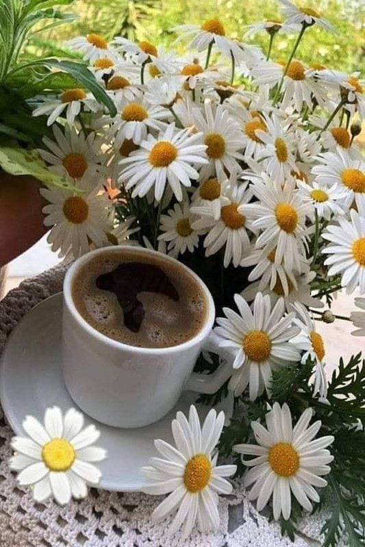 https://i.postimg.cc/2Sf8vp4s/744441086-36945496011762871-6586777475646960718-n.jpg