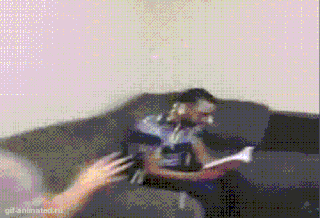 IMG-9153.gif