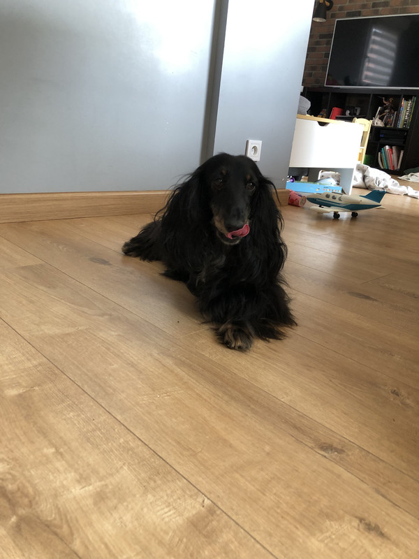 [Image: IMG-9302.jpg]