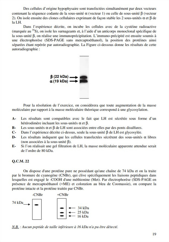poly UE8 complet 2019-20 - Google Chrome_2
