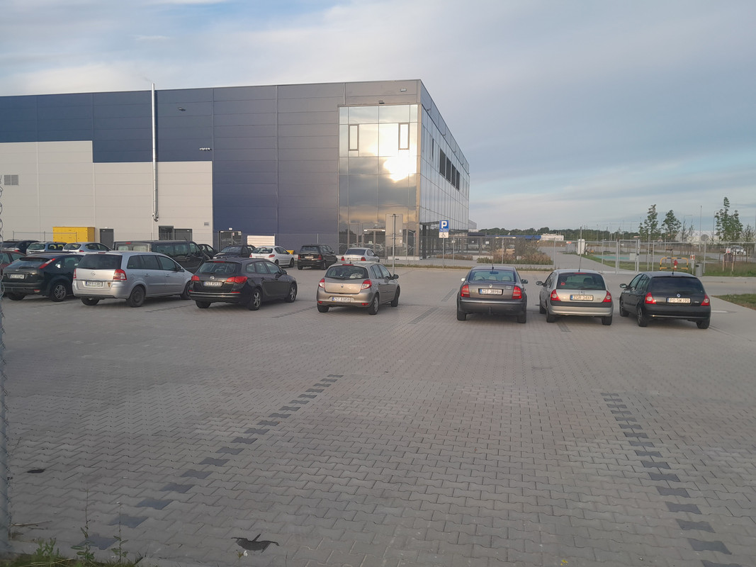 20230726-060602.jpg