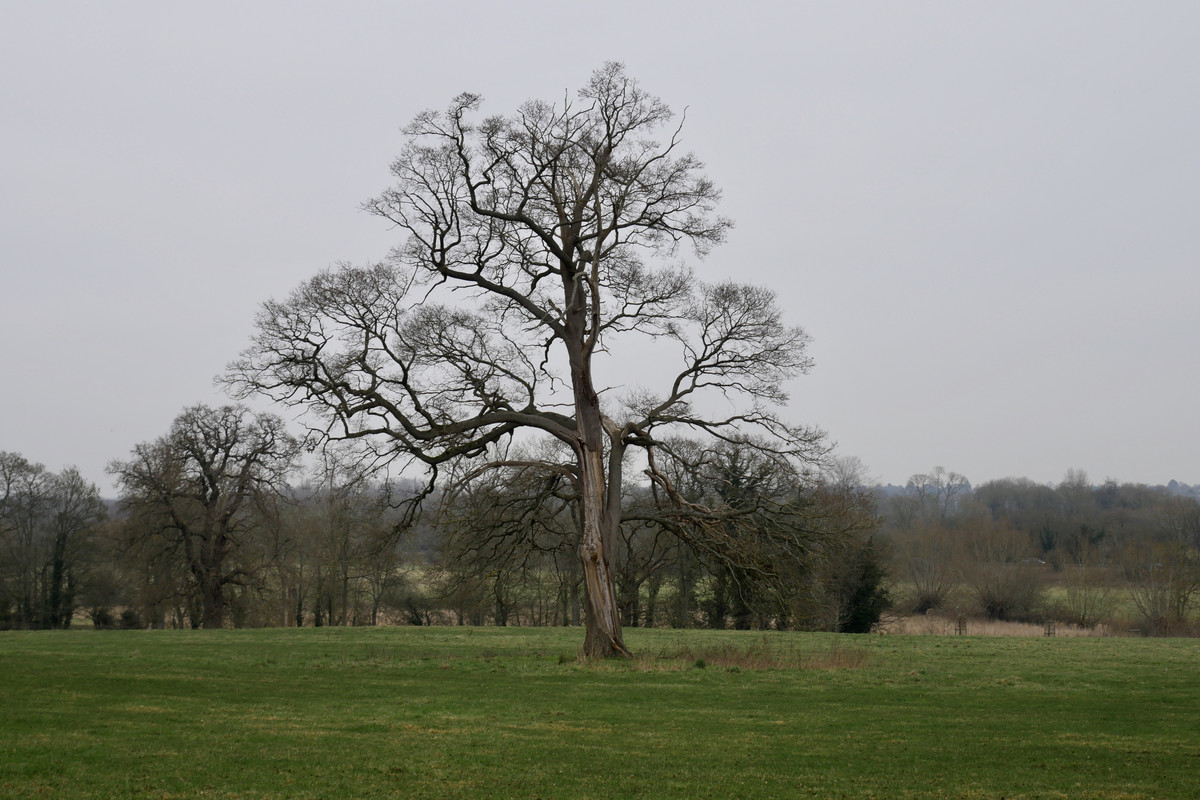 38377D06-111E-4926-917E-090E48E9FD31