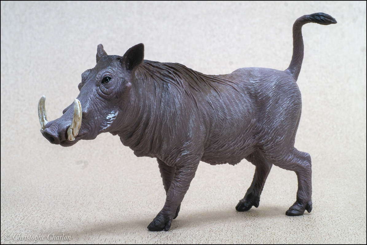 The 2021 STS Wild life Figure of the Year. Make your choice ! Mojo_Warthog_1