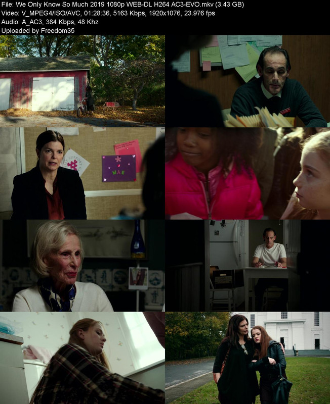 We-Only-Know-So-Much-2019-1080p-WEB-DL-H