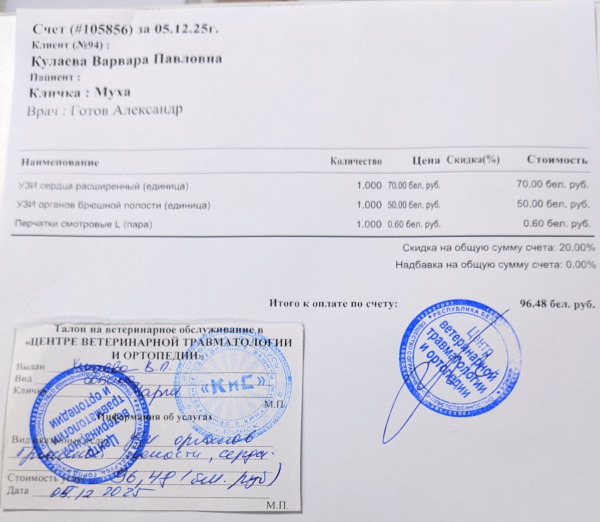 ������� "������� ����"