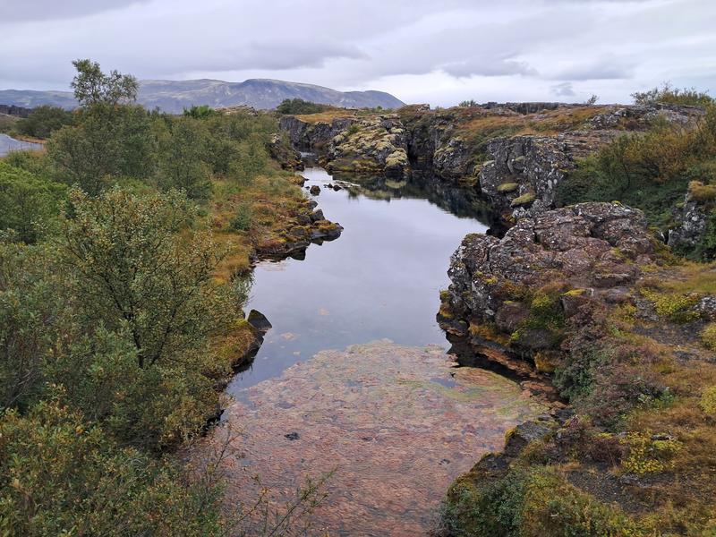 Islandia, donde la tierra ruge. - Blogs de Islandia - Círculo dorado, caminando entre continentes. (8)
