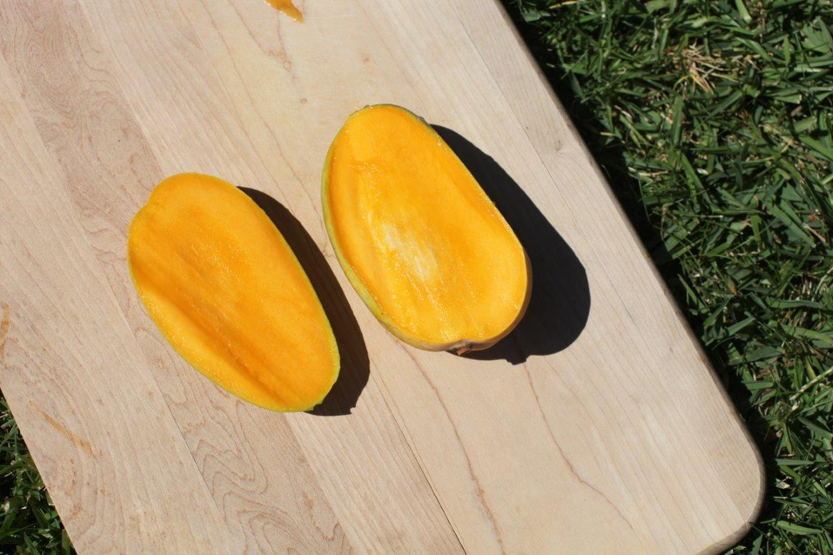 IMG_3399  Kesar Mango Cut Open 