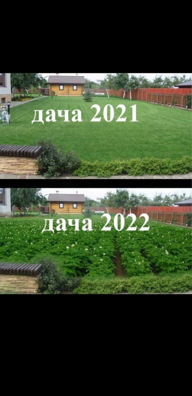 Screenshot_20220318-121212_Telegram