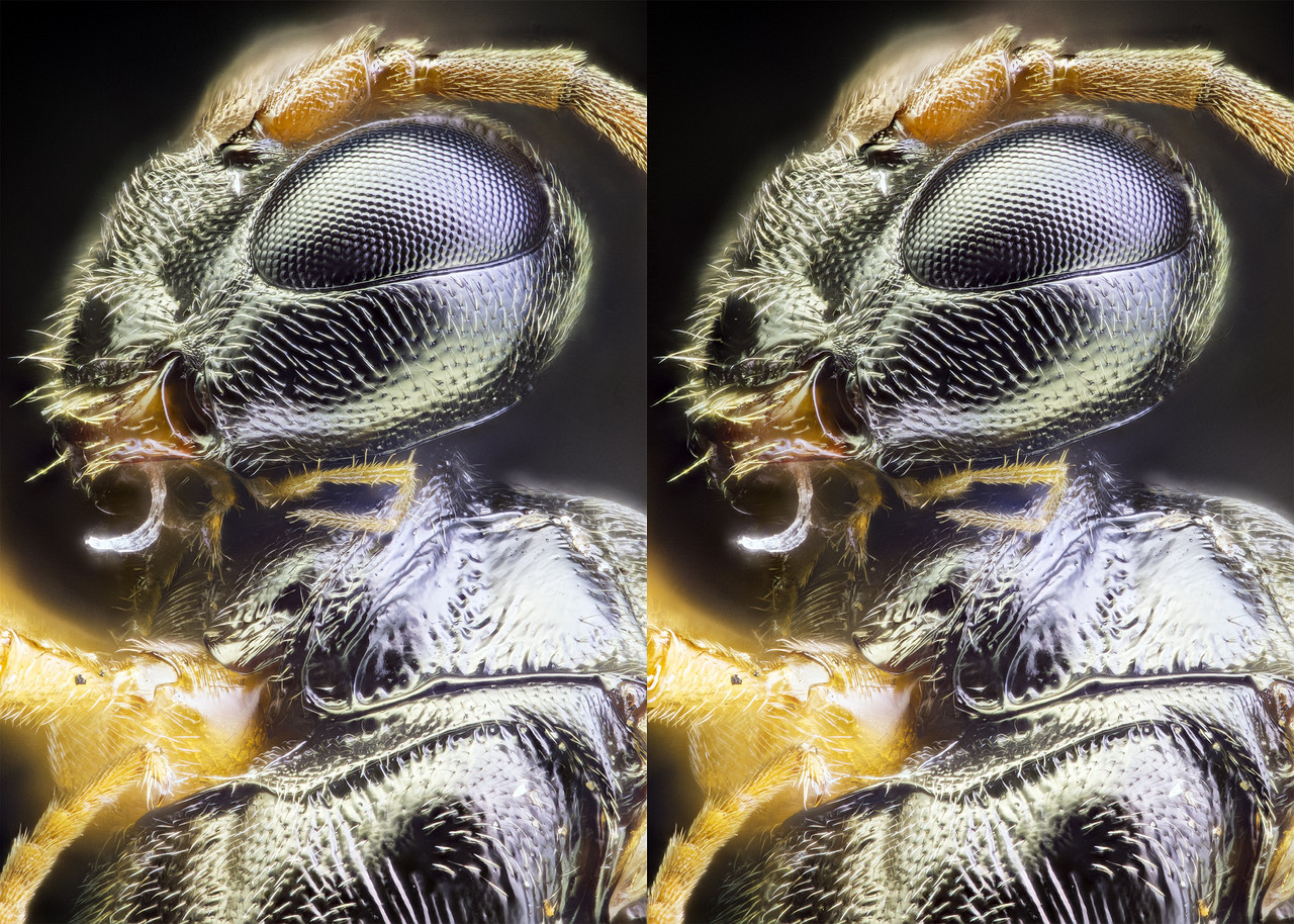Stereo 2 6 Cross TPnd 4K