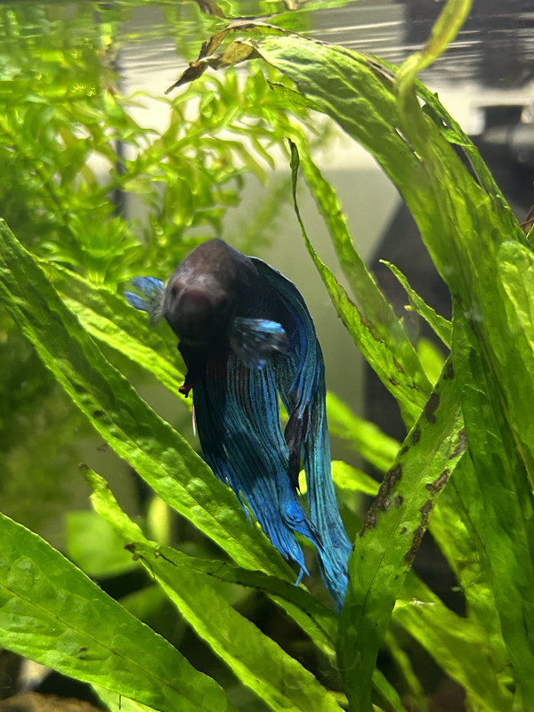 9D6B3A67-A44F-4C9C-A39A-A506EAC8B445