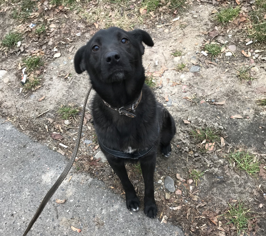 058EBAE7-0316-4544-BD88-215BF8B4974F