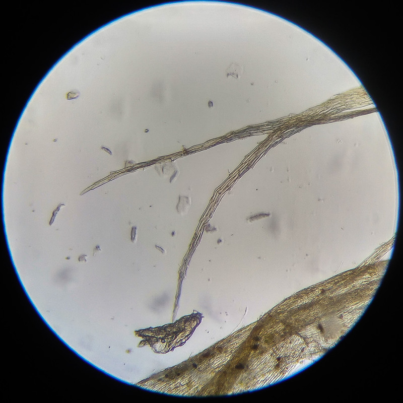 IMG 20250614 122342 HDR