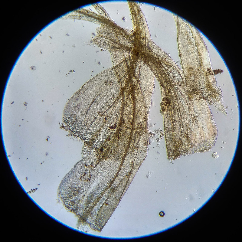 IMG 20250614 122248 HDR