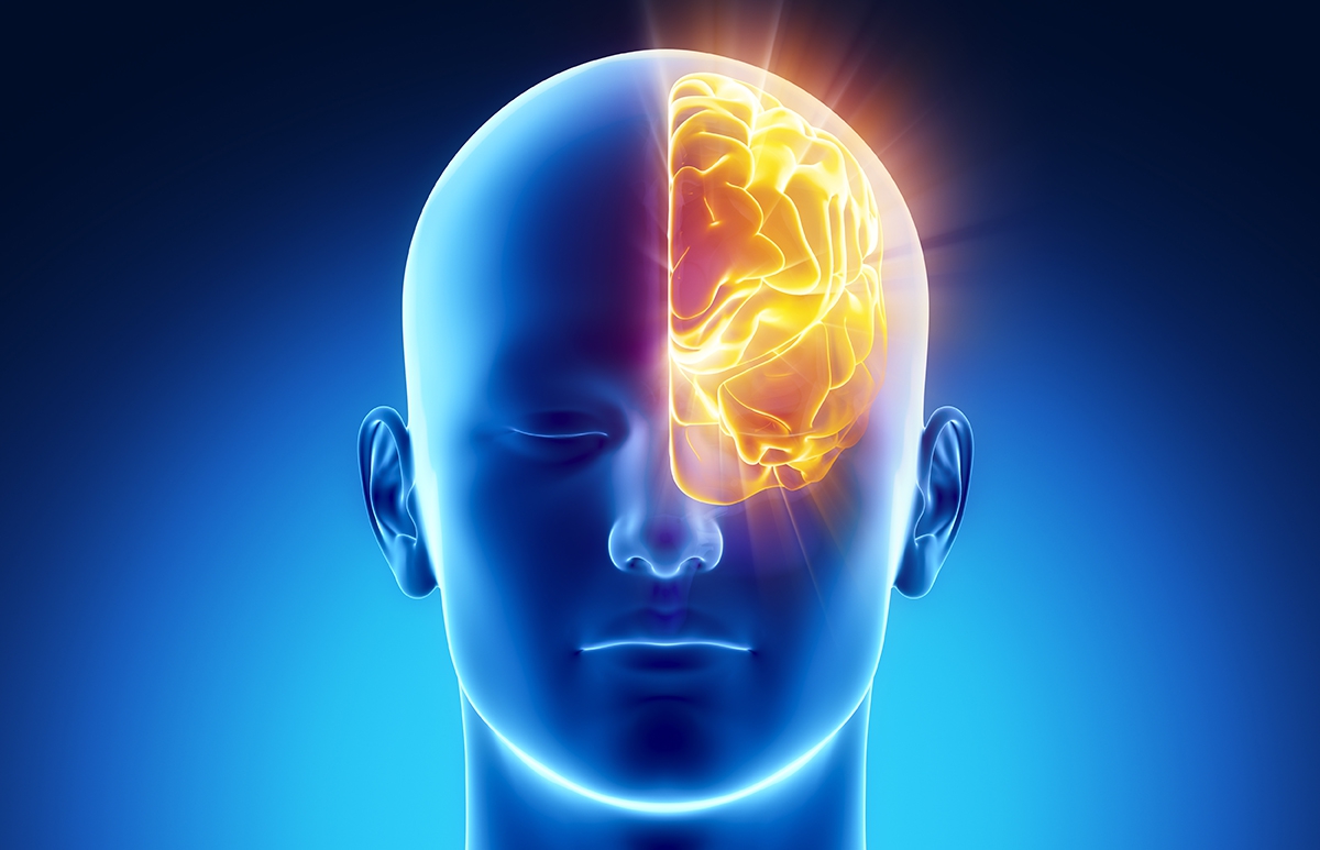 Vivir sin la mitad del cerebro ¿es eso posible?