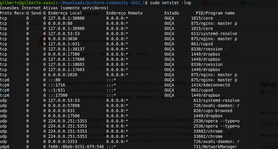 nginx na porta 80