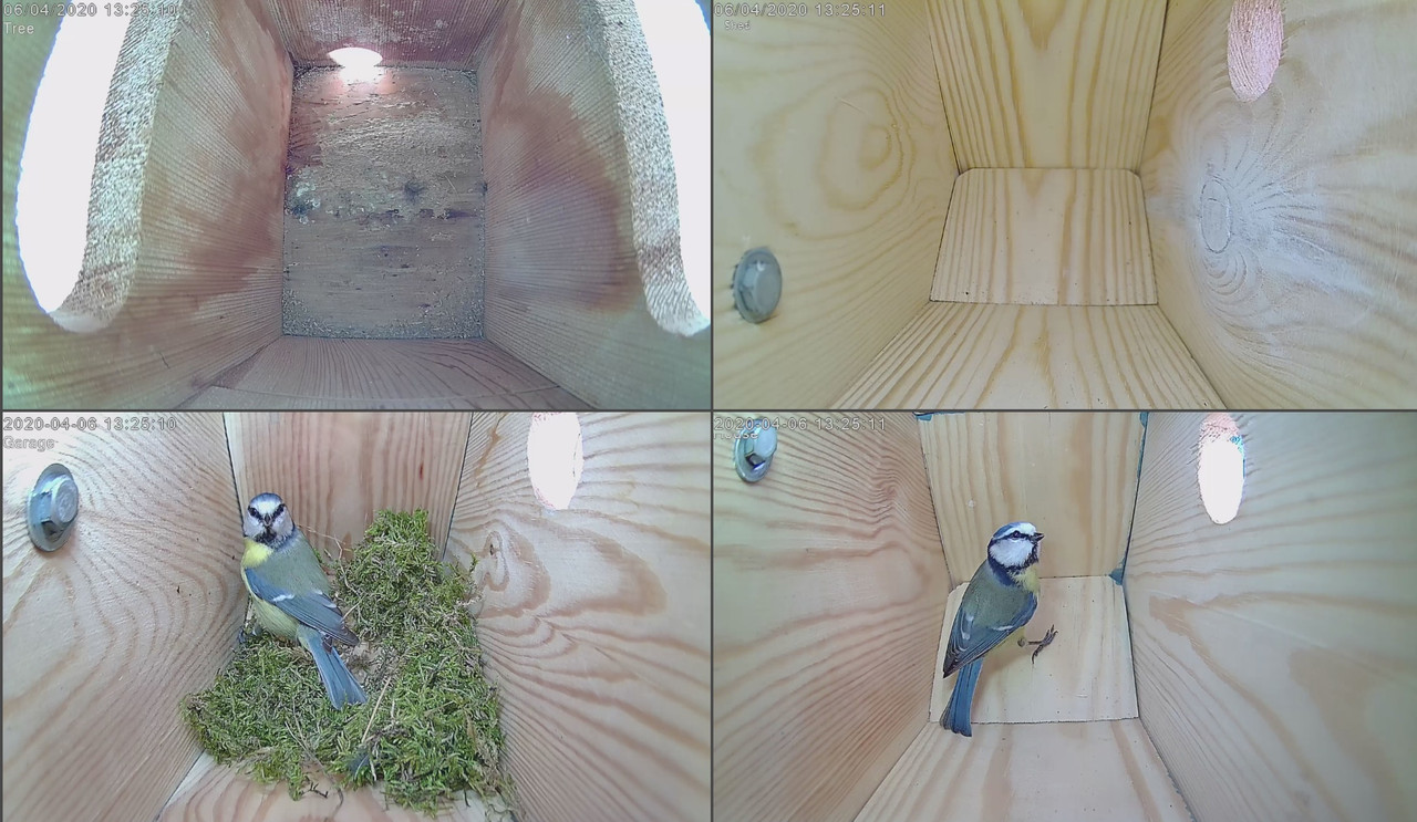 8503BCC7-2C84-424E-B343-64D41EFA5C17