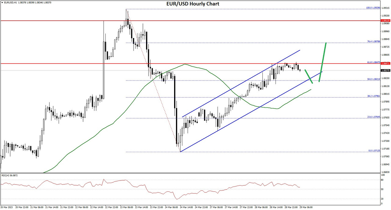 Daily Market Analysis By FXOpen in Fundamental_eurx