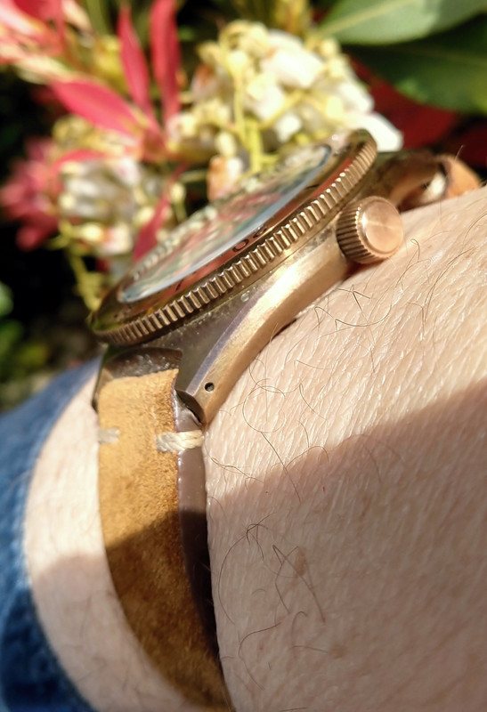 Cronos (Lugyou)Bronze Diver-18