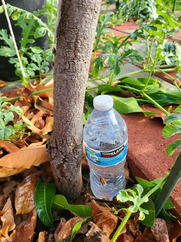 FB_IMG_1691903334081