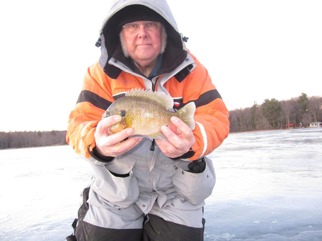 Gill 1 - 25 - 18 004