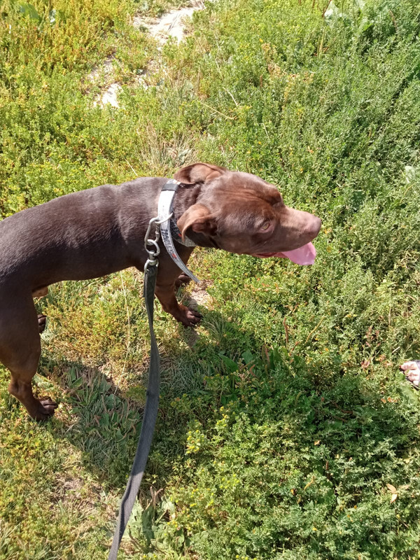 7C71843B-A95D-42B3-94DD-29E6C83F0EF8