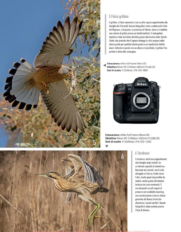 FOTO Cult Ott 2021 (4)