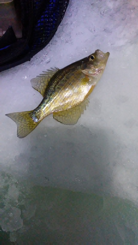 20190215_075453