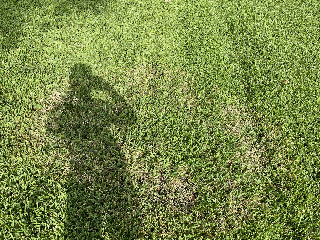 D4FD2A1C-96B7-4D66-8CB3-EF0C1A58749E