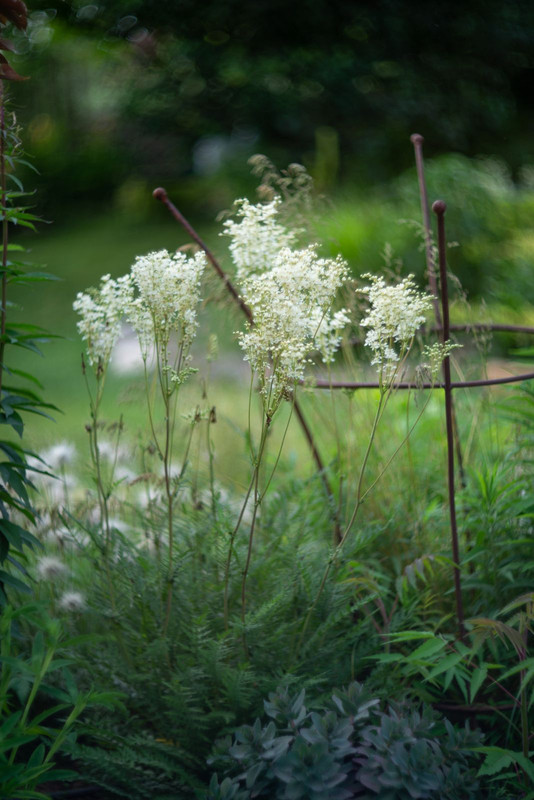 IMG-3d0ea6d59fae62d337a87dcb61c0a866-V