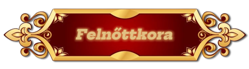 hr-realfelnott.png