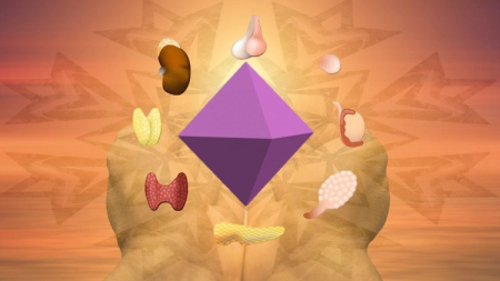 7 Masters Gland activation part 2