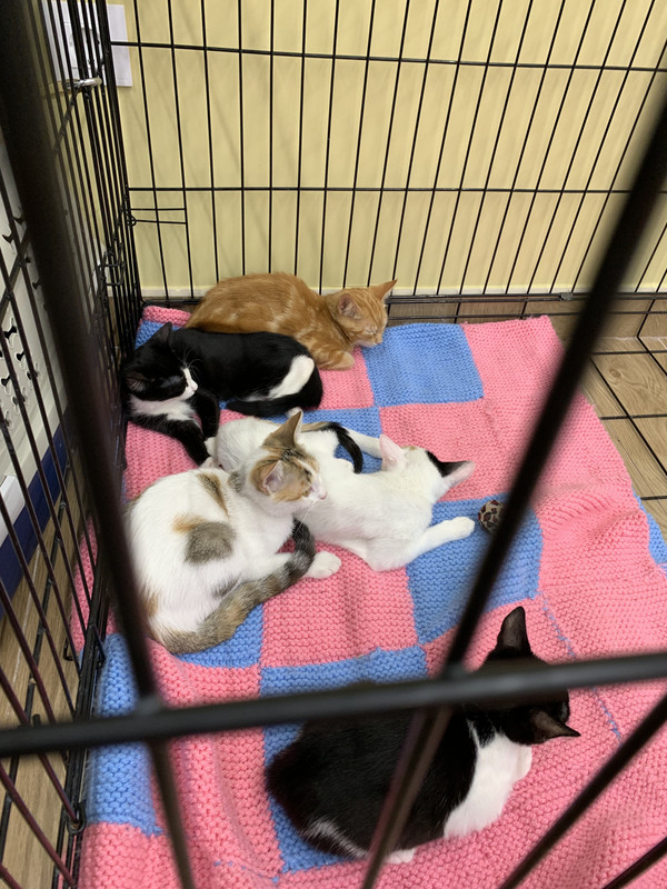 BC645E7A-7755-4C46-AEBD-57DBBD47D01F