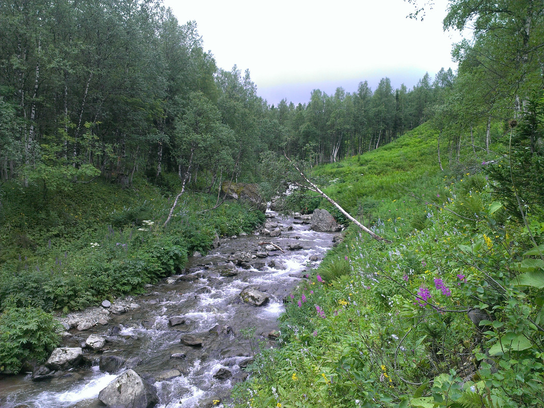 IMAG0486