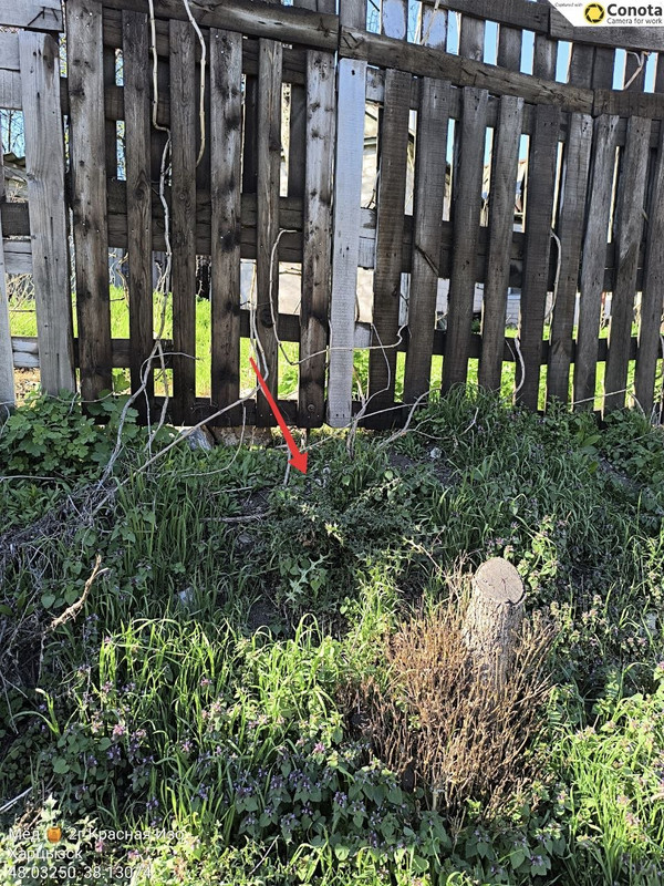 IMG 2469
