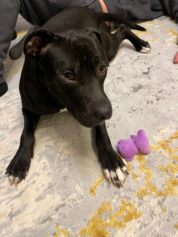 2E54FB45-F50A-4519-9699-89A3213F6CDB