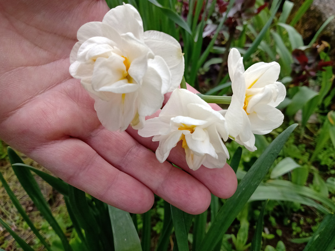IMG_20230416_114428879