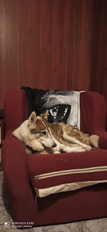 FF68D1E3-0A71-4BE4-9D79-90A37EA83D68