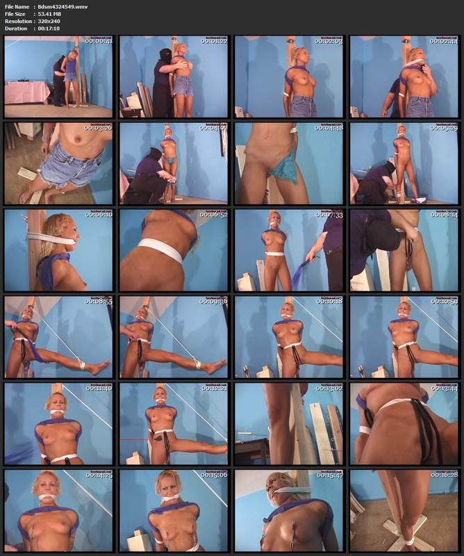 Bdsm4324549.wmv
