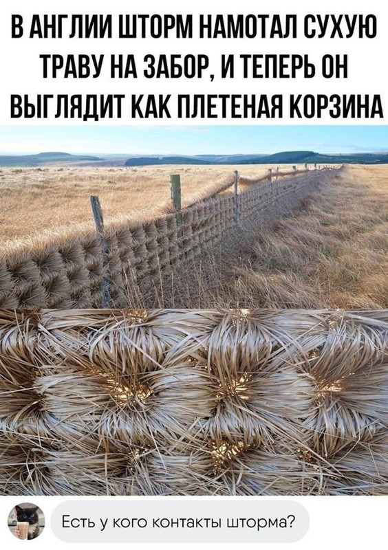 [Изображение: 0a31ba1f93eed6316f06d98e33d48f74.jpg]