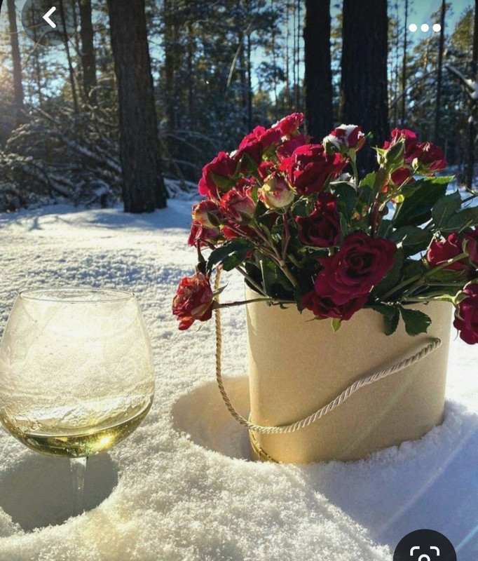 Screenshot_20230927_233645_Pinterest