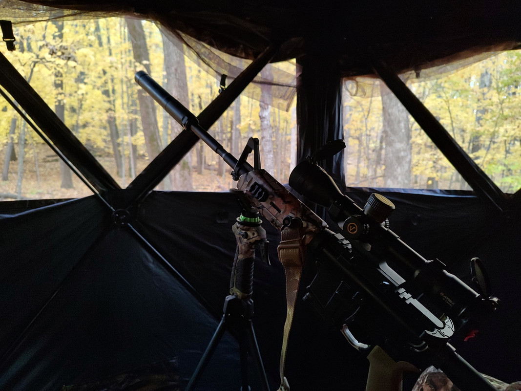 IMG_20231020_083346575_HDR