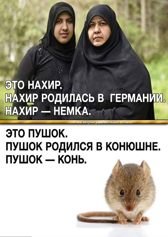 f-A8-Up-ZRHf9-KFkot7cf-XT8-W3-Ot-Ncf-W9w