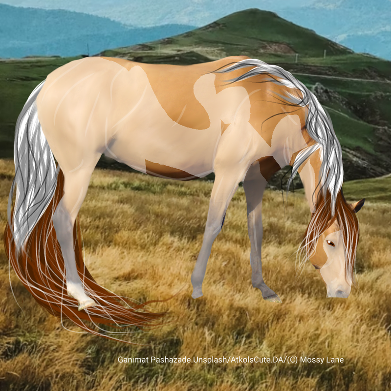 Untitled98-20220217124541.png
