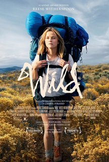 Wild (2014).mkv BDRip 576p x264 AC3 iTA-ENG