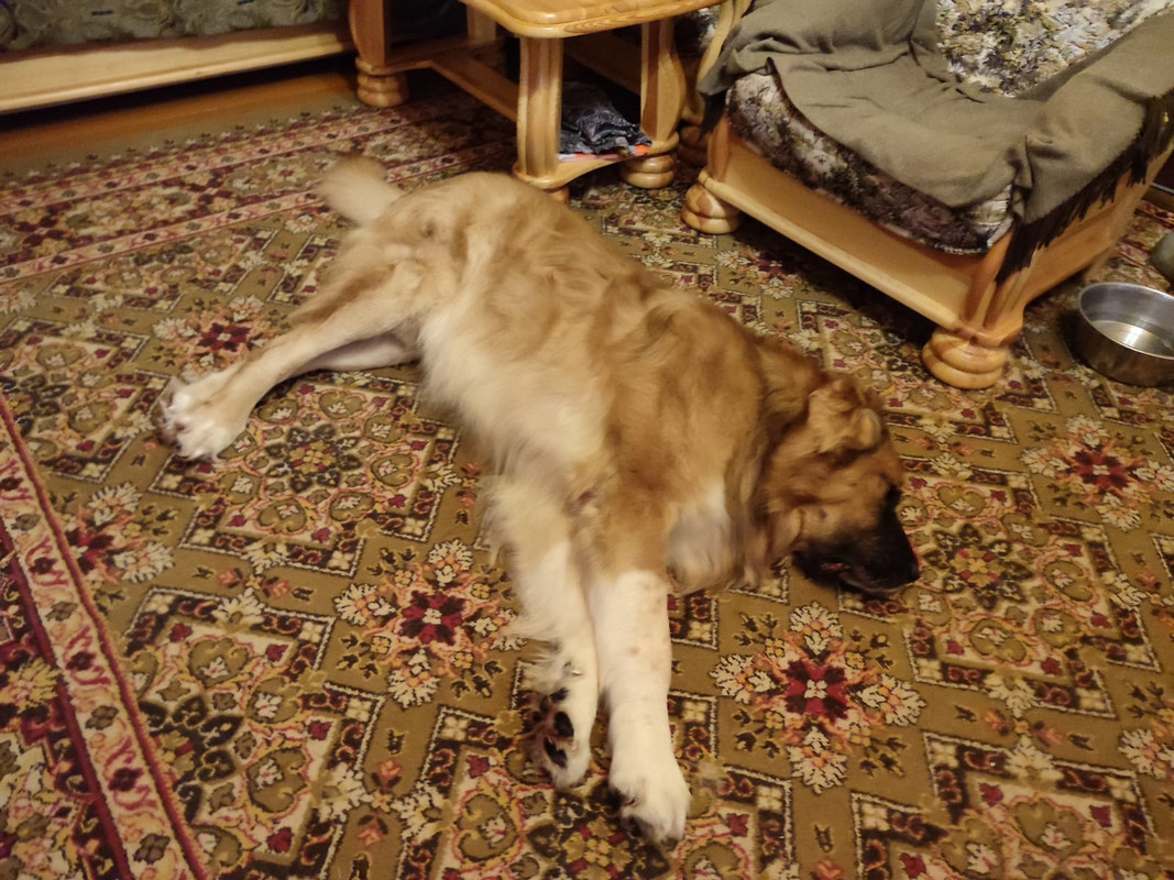 422077A0-22FA-4B2F-962C-572E2C58B264